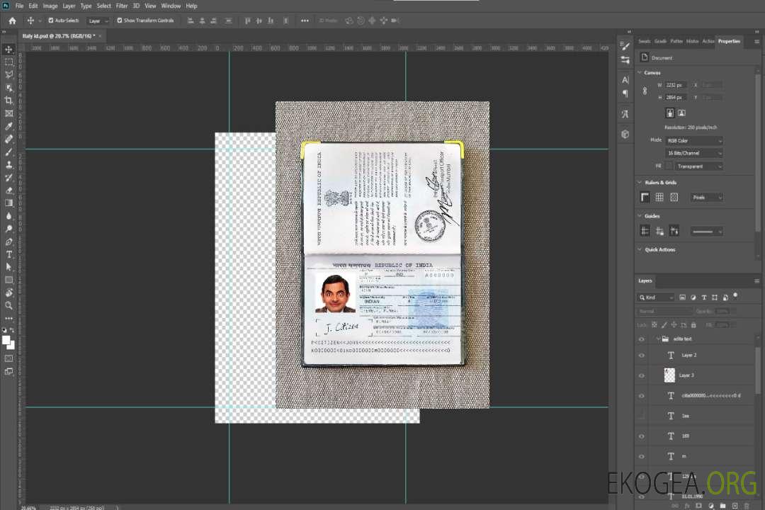 Look photo du passeport indien (2013-présent) template